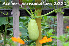 Ateliers permaculture – saison 2021 !